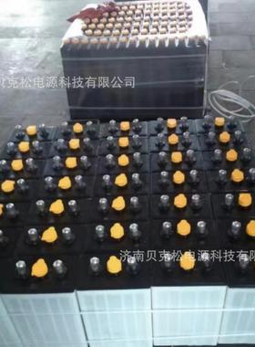 百瑞欧蓄电池D250D330D395D440搬运车2v免维护平板车牵引车