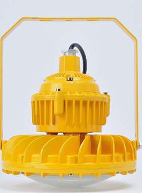 免维护LED防爆灯SLD3103100/120/150W防水车间投光灯