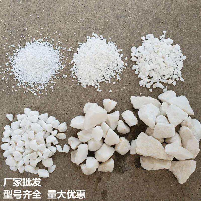 厂家白石子园林铺面微景观造景不发火地面用白云石白碎石