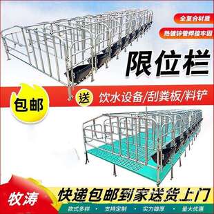 母猪地面猪用限位栏养猪场设备加厚地面围栏猪圈漏粪板设备其它
