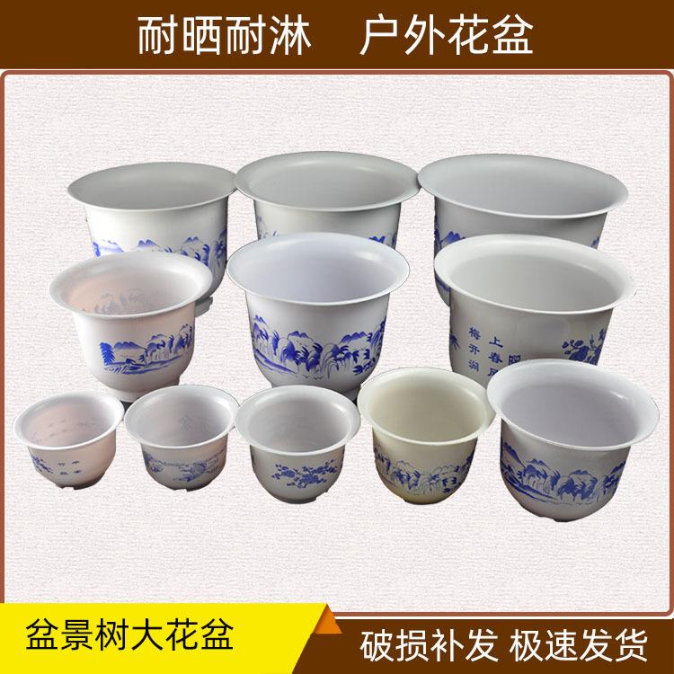 兰彩花盆塑料厚实耐用杜鹃茶花红豆杉七里香桂花园艺基地厂价直供