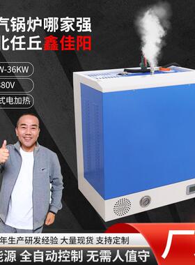 厂家供应加热壁挂式蒸汽发生器24-36KW水泥养护服装整烫蒸汽锅炉