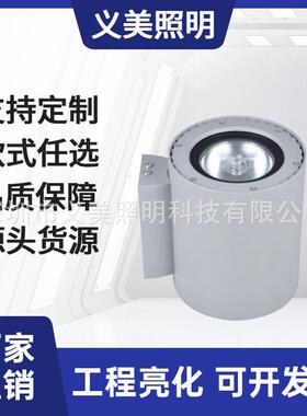 厂家直销6W10W18W20W40W60W户外防水LED壁灯户外亮化别墅义美照明