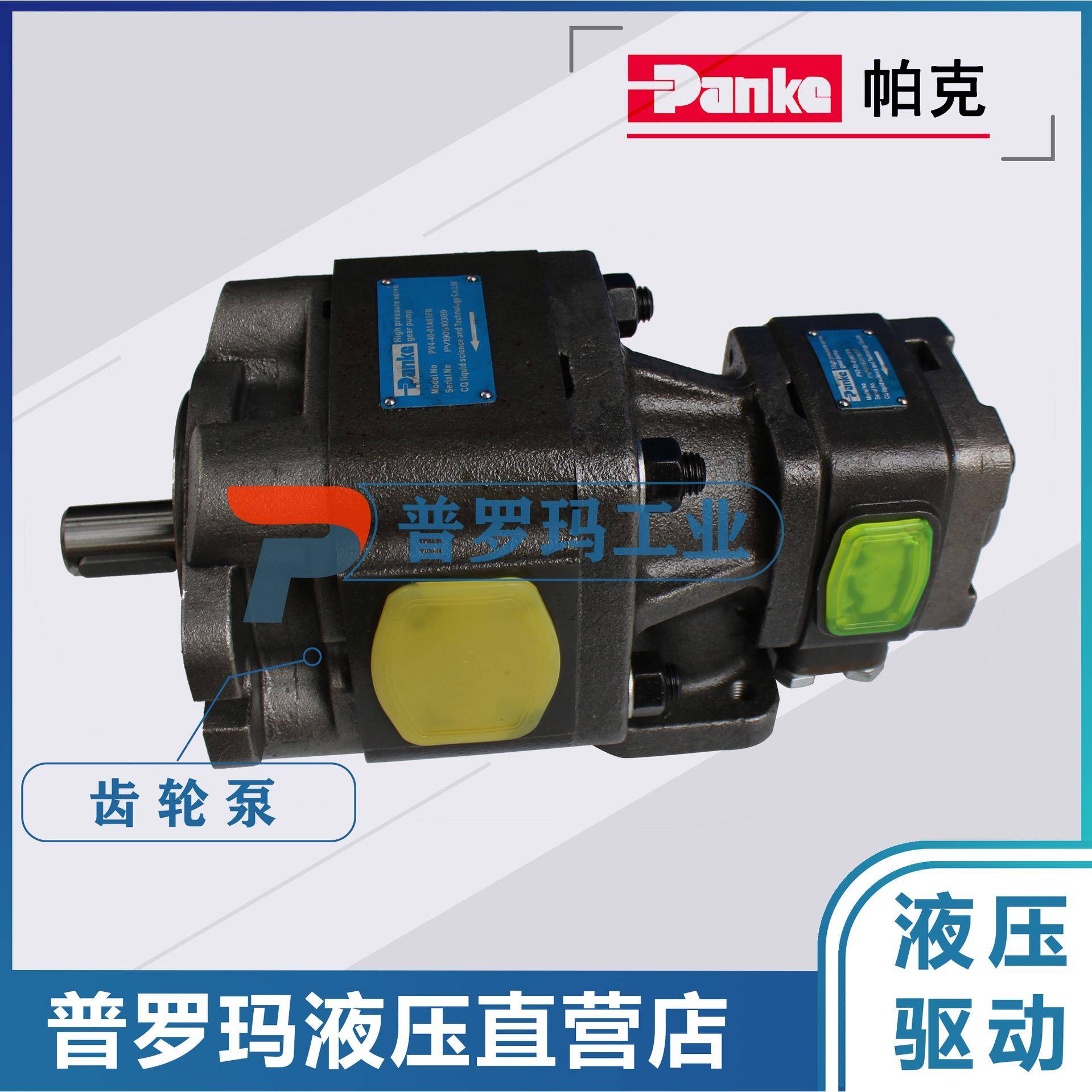 Panke内啮合齿轮泵双联泵伺服电机专用油泵 PV6/4-80-25-02A01FR