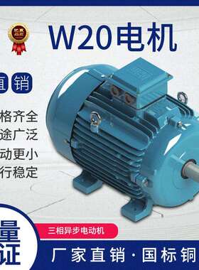 WEG万高电机W20电机IE3能效三相异步电动机巴西万高马达