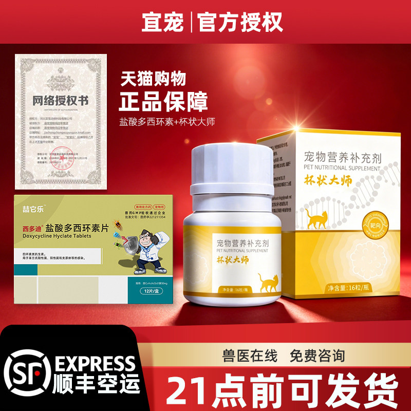 杯状大师猫咪杯状口炎打喷嚏流鼻涕咳嗽防伪可查顺丰空运