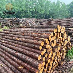 厂家供应专用檩条原木木围栏支撑杆杉园林绿化杉木打桩杆木桩实木