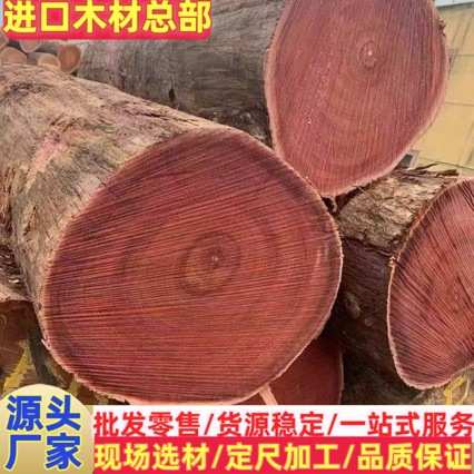 阿莫栋原木 沙比利乌檀木 红樱桃木材 圣桃木方料 加工阿摩栋板材