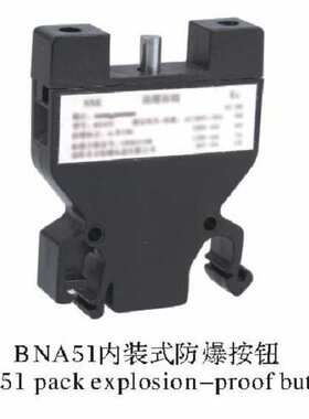 内装式防爆按钮  BNA 51 BZK51