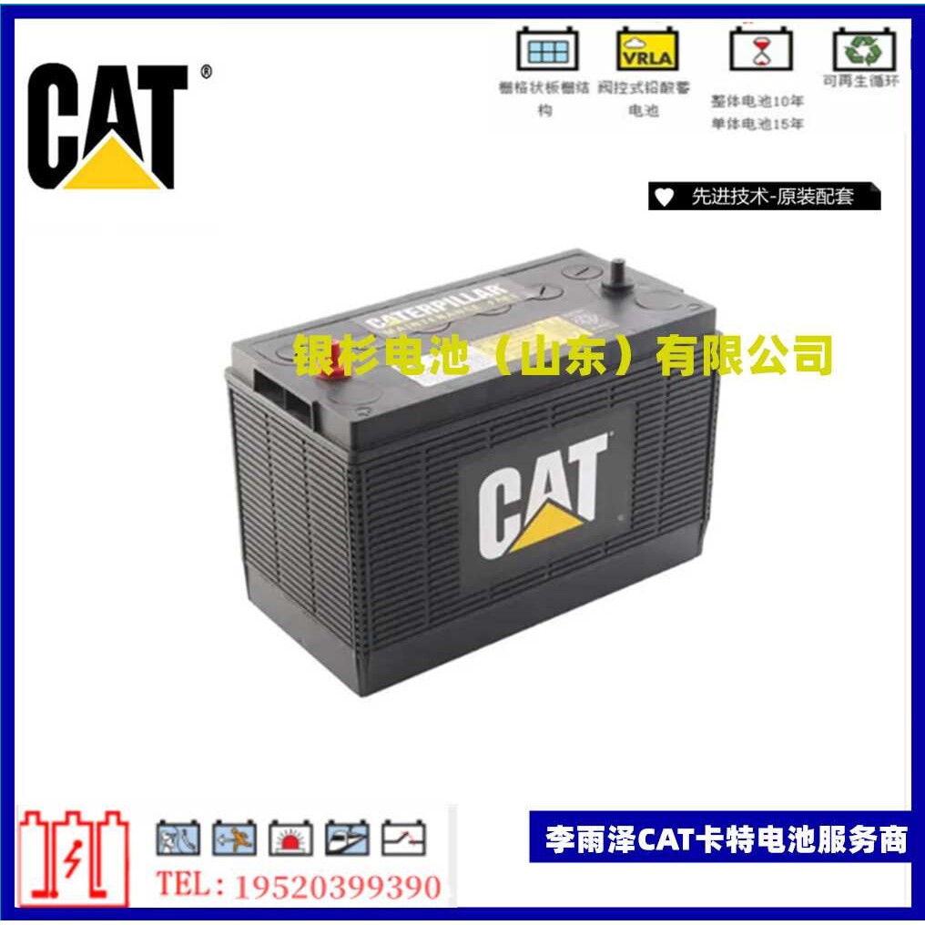 德国卡特比勒175-4390发动机电瓶 CAT卡特蓄电池12V90AH船舶卡特