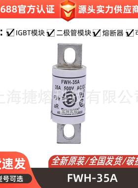 FWH-35AFWH-35B圆形快速熔断器保险丝电子元器件量大价优