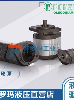 罗茨ronzio Greo pump 02ZAG06/08/11/14/17/20/25E034D ABCHFG