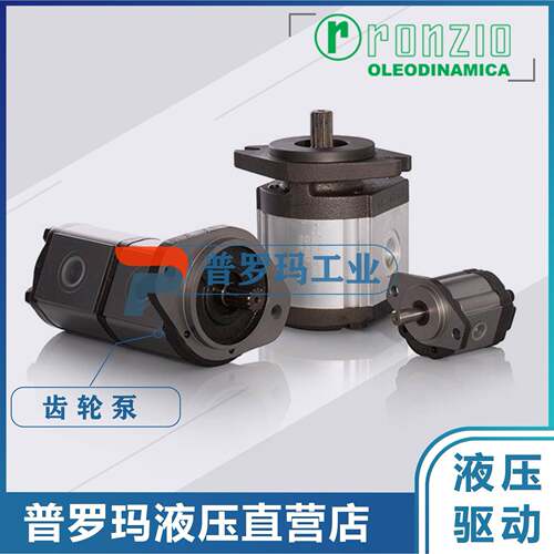 罗茨ronzio Greo pump 02ZAG06/08/11/14/17/20/25E034D ABCHFG