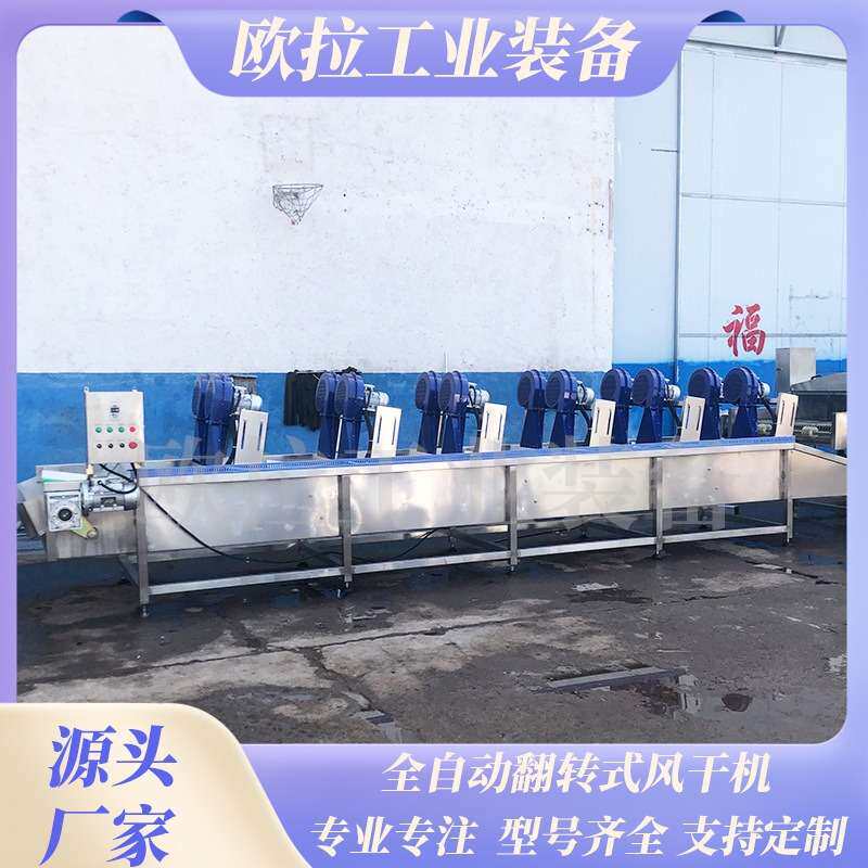 贡菜茼蒿辣椒清洗加工设备 多功能清洗机 小河虾小黄鱼清洗去泥机