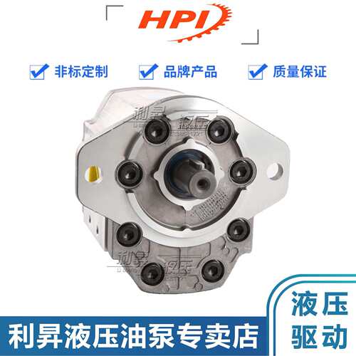 法国HPI液压齿轮泵P1AAN2522HL20A01N P1AAN3060HL20A02N油泵马达