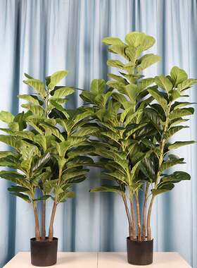 仿真琴叶榕树盆栽植物高仿布叶琴叶榕盆景庭院酒店大堂假树盆景