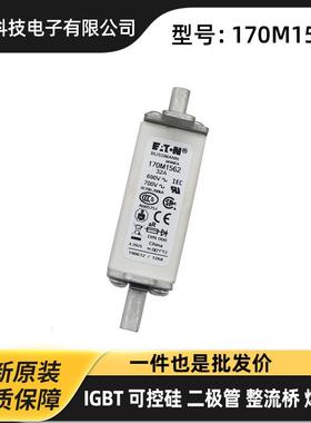170M6806 170M6807 170M6808 170M6809原装高压熔断器 保险丝