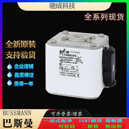 巴斯曼170M6595 170M6596 170M6597 大量现货厂价销售 快熔保险丝