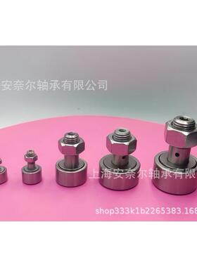 不锈钢轴承凸轮轴承随动器BPF06-d20-d20A-d24-d24A-d30-d30A-PP