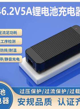 46.2V5A充电器SAAULKCPSECE认证IPX6防水船外机马达充电器