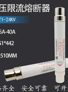 SDLAJ XRNT1-24KV 20A 25A 31.5A 40A高分断能力高压限流熔断器