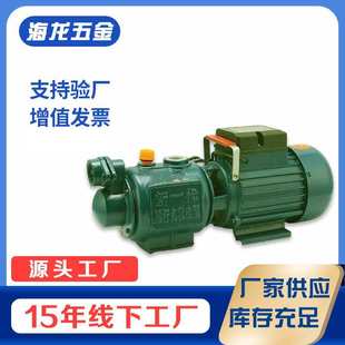 单相自吸 螺杆泵高扬程 深吸自来水管道 增压泵高压抽水机