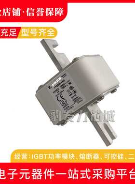 170M6196 170M6197 170M6198 170M6199 170M6200 170M6201熔断器