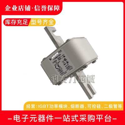 170M6196 170M6197 170M6198 170M6199 170M6200 170M6201熔断器