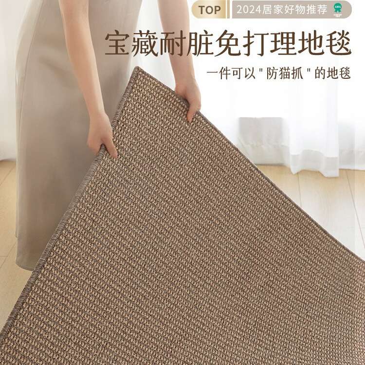 剑麻地毯客厅2024新款卧室床边复古风摄影棚拍照地垫大面积全铺