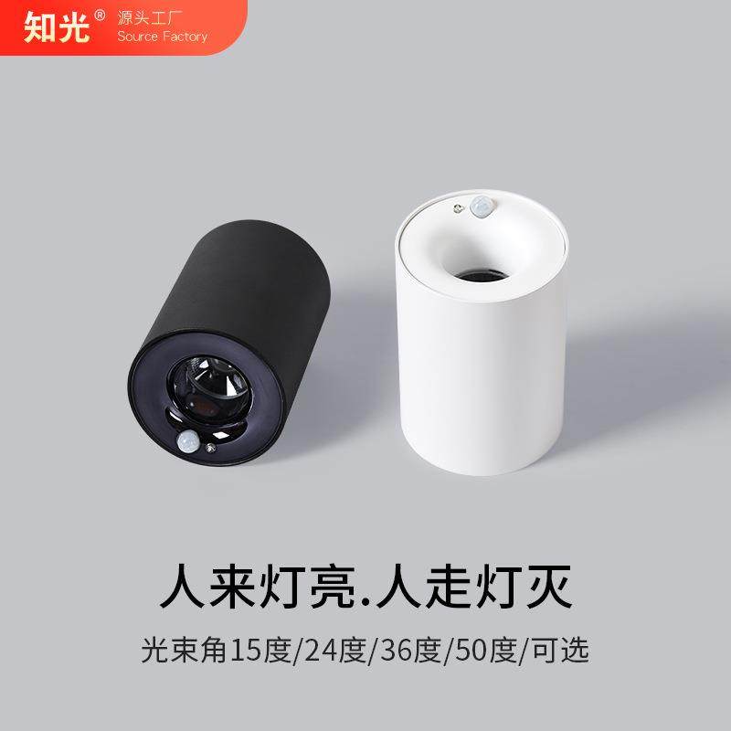 cob明装感应灯人体感应过道走廊灯入户玄关灯楼道筒灯吸顶式射灯,模玩/动漫/周边/娃圈三坑/桌游,模型制作工具/辅料耗材,淘宝优惠券,粉丝福利购,淘宝优惠卷