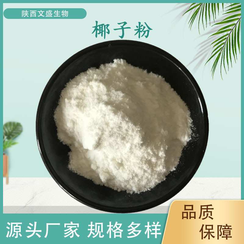 椰子粉速溶椰子果粉文盛生物量大从优水溶性食品原料