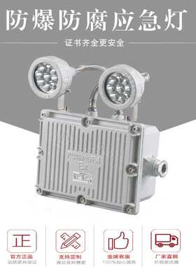LED双头防爆应急灯12V24V2×5W2×10W应急90分120分180分应急长时
