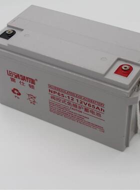 雷仕顿蓄电池 NP65-12/12V65AHups电源eps电源 铅酸蓄电池
