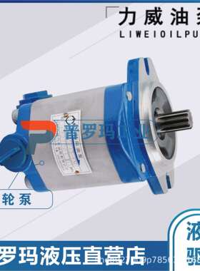合肥力威3505010-4BKZ-022客汽车液压动力泵转向泵QC12/10-D10WXJ