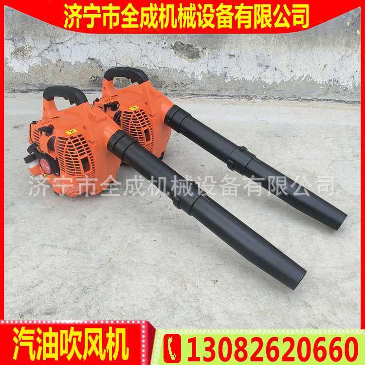 山东全成供应小型汽油吹雪机 路面清理吹风机 便携式园林吹风机,模玩/动漫/周边/娃圈三坑/桌游,模型制作工具/辅料耗材,淘宝优惠券,粉丝福利购,淘宝优惠卷