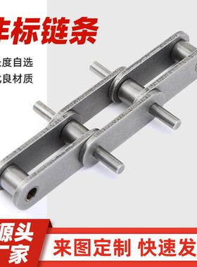 工业链条输送链条 非标P75/P100/P125P150P150大节距链条厂家直销