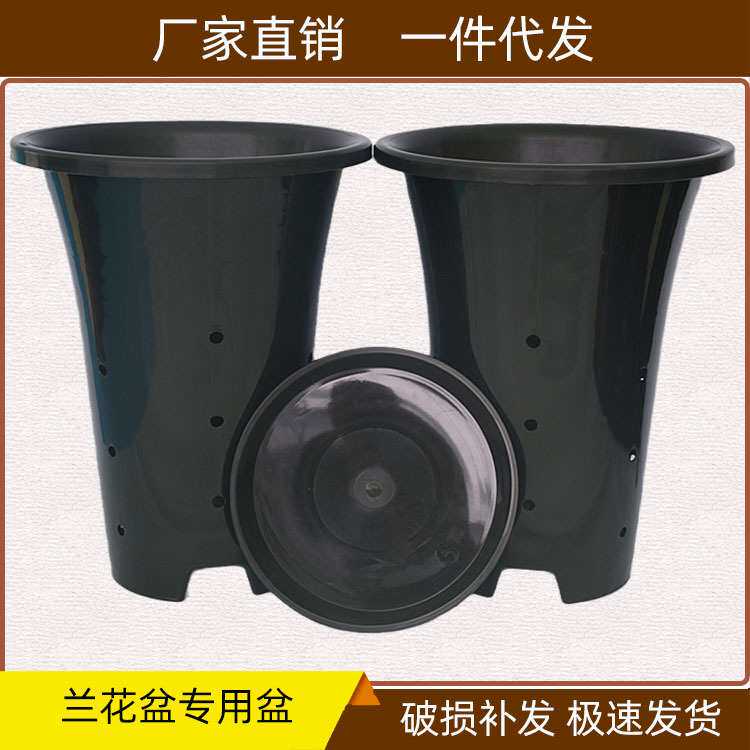 兰花塑料花盆高脚透气黑色国兰龙岩素小盆栽绿植园艺育苗厂价直批