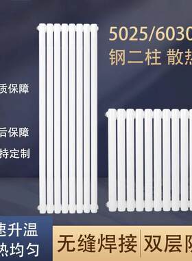 暖气片家用钢制二注水暖散热器散热片壁挂式集中供暖天然气炉取暖