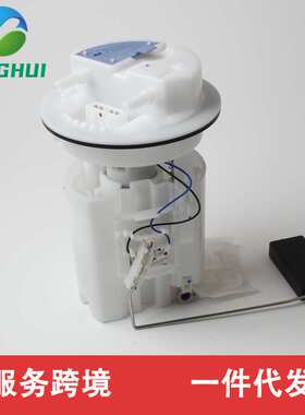 PW823172 A2C53061198  9631419180燃油泵总成适用于宝腾