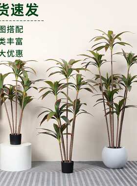 亚马逊新款仿真绿植仿真红色巴西木巴西铁富贵叶仿真植物造景盆栽