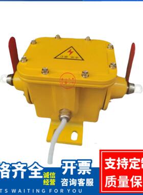 拉绳闭锁装置FMSL-A DB-100-F FKLT2-Z手动双纵向撕裂开关 ZLK-II