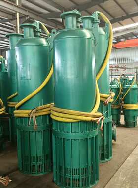 防爆潜水排沙泵 BQS300-30-45KW矿用隔爆型潜水排沙电泵660v1140V