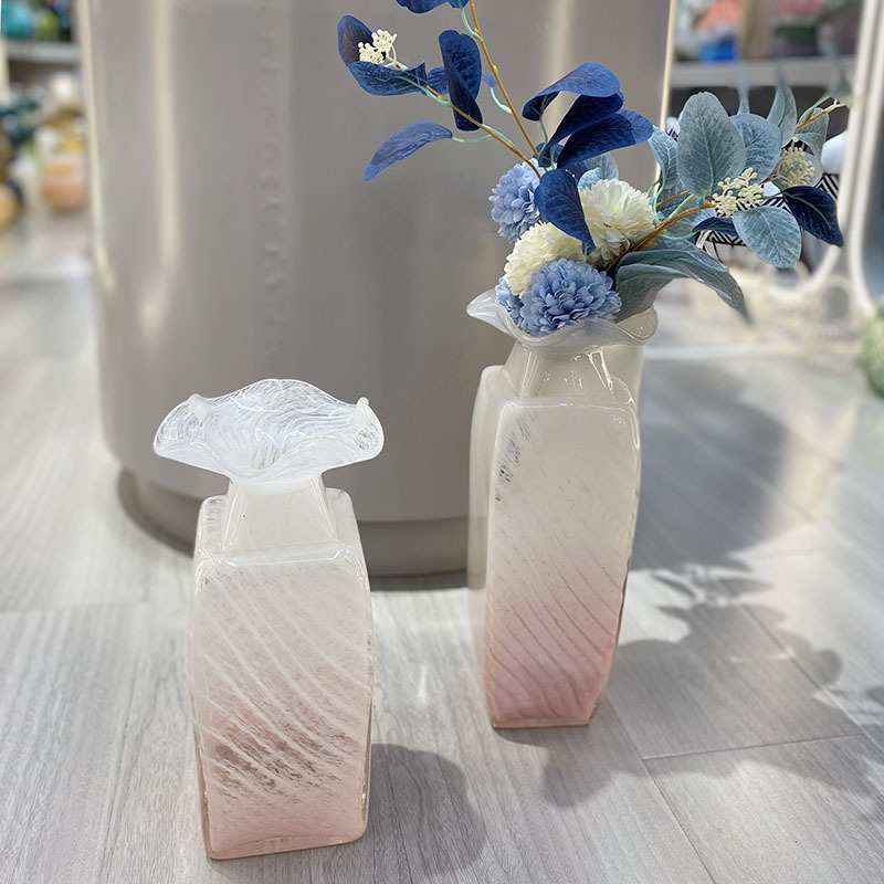 花瓶摆件客厅插花透明玻璃瓶水养马醉木富贵竹宽口水培器皿大