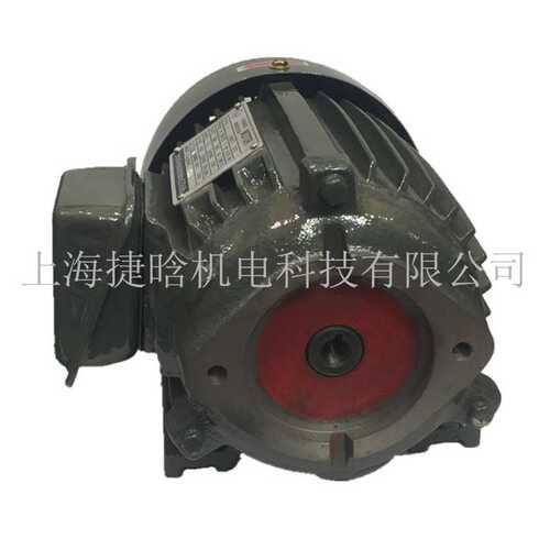 YTY-802-4内轴0.75KW直插式油泵电机 3-PHASE INDUCTION