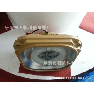 SBD1103免维护节能防爆泛光灯 防爆电磁感应灯 200W防爆无极灯250