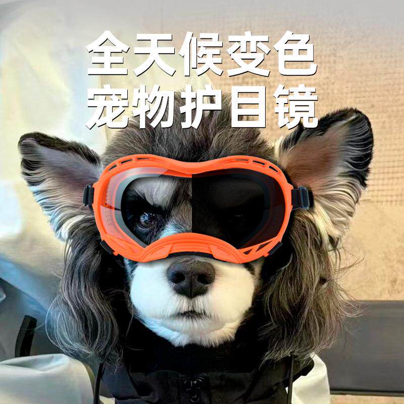 变色宠物眼镜防风防紫外线狗狗炫酷护目镜智能变色猫咪太阳镜墨镜
