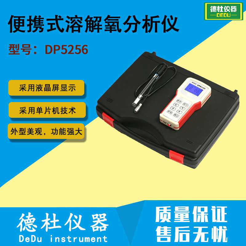 供应DP5256型便携式溶解氧分析仪 溶解氧仪