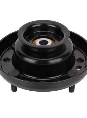 XR858419s型2000-2008/XF基本悬架零件的前悬架支柱