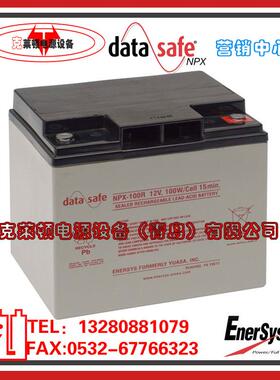 DataSafe艾诺斯蓄电池NPX-100R/12V100W船舶电源高功率蓄电池现货