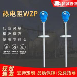贸诚仪表 单/双支式热电阻WZP2-331/WZP-331 PT100型测温芯